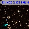 Cl* NGC 2422    PMS     484