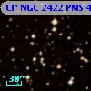 Cl* NGC 2422    PMS     481