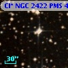 Cl* NGC 2422    PMS     461