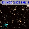 Cl* NGC 2422    PMS    1013