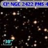 Cl* NGC 2422    PMS     448