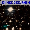Cl* NGC 2422    PMS     429