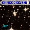 Cl* NGC 2422    PMS    1143