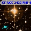 Cl* NGC 2422    PMS     424