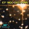 Cl* NGC 2422    PMS    1243