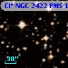 Cl* NGC 2422    PMS    1267