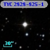 TYC 2828-825-1