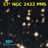 Cl* NGC 2422    PMS     333