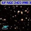 Cl* NGC 2422    PMS     331