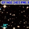 Cl* NGC 2422    PMS     317