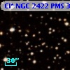 Cl* NGC 2422    PMS     318