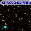 Cl* NGC 2422    PMS     309
