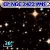 Cl* NGC 2422    PMS     276