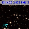 Cl* NGC 2422    PMS     267