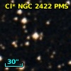 Cl* NGC 2422    PMS    1042