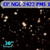 Cl* NGC 2422    PMS    1040