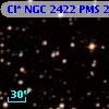 Cl* NGC 2422    PMS     244