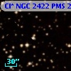 Cl* NGC 2422    PMS     246