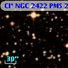 Cl* NGC 2422    PMS     237