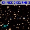 Cl* NGC 2422    PMS     224