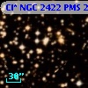 Cl* NGC 2422    PMS     213