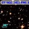 Cl* NGC 2422    PMS     172