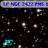 Cl* NGC 2422    PMS    1031