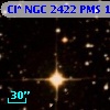 Cl* NGC 2422    PMS     137
