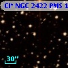 Cl* NGC 2422    PMS     133