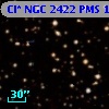 Cl* NGC 2422    PMS     100