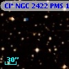 Cl* NGC 2422    PMS    1230