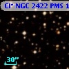Cl* NGC 2422    PMS      19