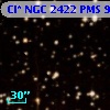 Cl* NGC 2422    PMS       9