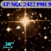 Cl* NGC 2422    PMS     991