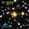 C* 3123