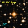 V* FY Pup
