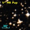V* MR Pup