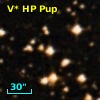 V* HP Pup