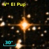 V* EI Pup