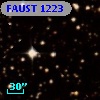 FAUST 1223