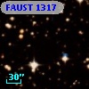 FAUST 1317