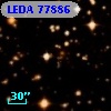 LEDA   77886