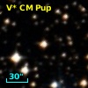 V* CM Pup