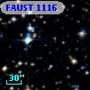 FAUST 1116