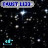 FAUST 1133