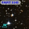 FAUST 1143