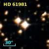 HD  61981