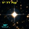 V* YY Pup