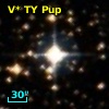 V* TY Pup