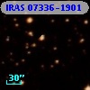 IRAS 07336-1901